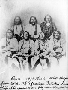 Bose, venstre hånd, hvit ulv, svart vannkoker, hvit antilope, oksebjørn, Neva: høvdinger for stammene Arapahoe, Sioux, Cheyenne og Kiowa, ca. 1860-68 av American Photographer