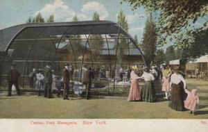 Central Park Menagerie, New York (bilde) av American Photographer