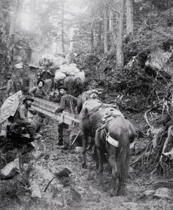 Klatring av Dyea Trail på vei til Chilkoot Pass under Klondike Gold Rush (1897-98) (s/hvitt bilde) av American Photographer
