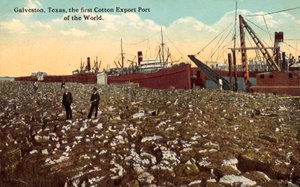 Galveston, Texas, USA, verdens første eksporthavn for bomull (fargefoto) av American Photographer