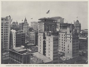 Ser sørvestover fra taket på Woodbridge-bygningen, Corner of John and William Streets (s/hv-bilde) av American Photographer