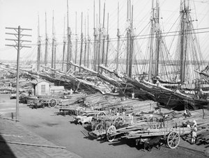 Muelle Tallapiedras, Havanna, ca. 1904 (s/hvitt-bilde) av American Photographer
