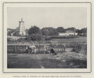 Pastoral scene på Winfield, på veien fra Long Island City til Flushing (s/hv-bilde) av American Photographer