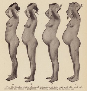 Tegn og symptomer på graviditet (svart-hvitt-bilde) av American Photographer