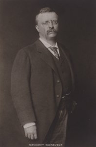 Theodore Roosevelt, 26. president i USA, 1904 av American Photographer