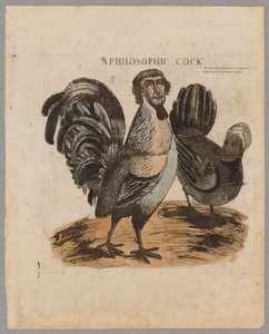 En filosofisk hane, 1804 av American School