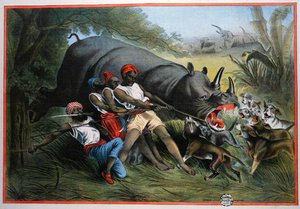 En neshornjakt (chromolitho) av American School