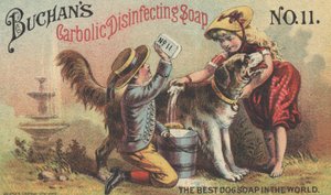 Annonse for Buchans Carbolic Disinfecting Soap nr. 11, ca. 1880 av American School