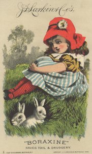 Annonse for J. D. Larkin & Cos Boraxine, 1882