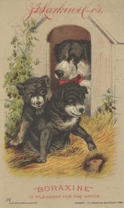 Annonse for J. D. Larkin & Cos Boraxine, 1882 av American School