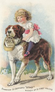 Annonse for James Pyles Pearline Washing Compound, ca. 1880 av American School