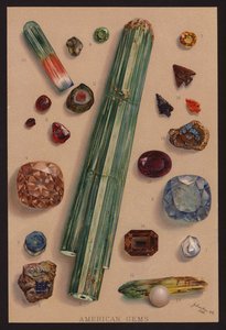 Amerikanske edelstener (fargelitografi) av American School