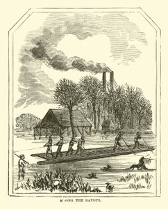 Among the Bayous, mars 1863 av American School