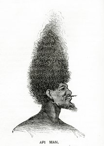 Api Man, illustrasjon fra Appletons Journal, 4. mai 1872 av American School