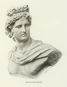 Apollo Belvedere av American School