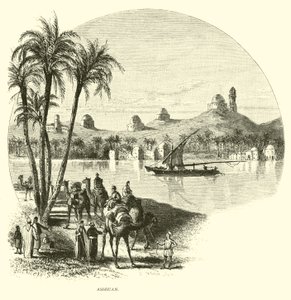 Aswan av American School