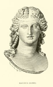 Bacchus, Roma av American School