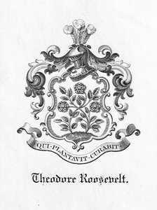 Bokskilt av president Theodore Roosevelt (1858-1919) (trykk) av American School