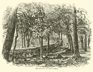 Brystarbeid i skogen, juli 1863 av American School
