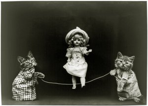 Cat curiousity, 1891 av American School