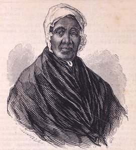 Catherine Ferguson av American School
