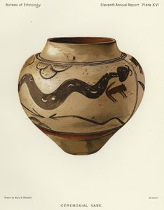 Seremoniell vase (farge litho) av American School