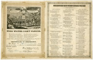 Cold Water Army Pledge av American School