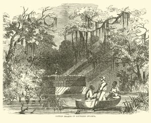 Bomullsskatter i Southern Swamps, juli 1862 av American School