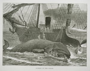 Cutting up the Whale, fra The American Whale Fishery, ca. 1850 (gravering) av American School