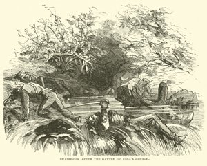 Deadbrook etter slaget ved Ezras kirke, august 1864 av American School