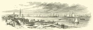 Avgang fra Duponts-ekspedisjonen fra Beaufort, januar 1863 av American School