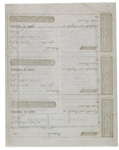 Dixie trykt på baksiden av et ark sjekker, 1861 av American School