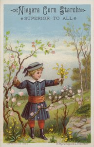 Jente som holder en haug med blomster på landsbygda av American School