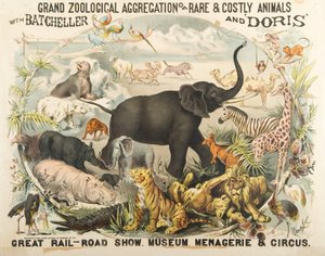 Grand zoologisk aggregasjon av sjeldne og kostbare dyr med Batcheller og Doris (chromolitho) av American School