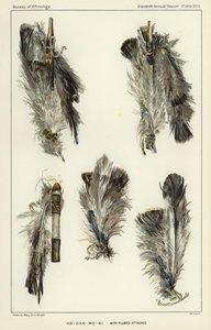 Ha-Cha-Mo-Ni with plumes attached av American School