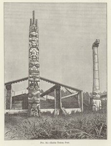 Haida Totem Post av American School