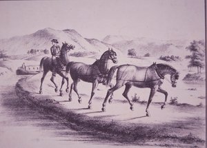 Hester som trekker en kanalbåt på Erie Canal (gravering) av American School