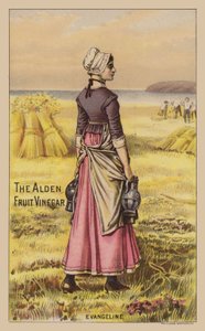 Lady in Field holder eddikkrukker