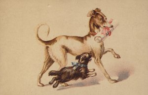 Stor og liten hund som løper av American School