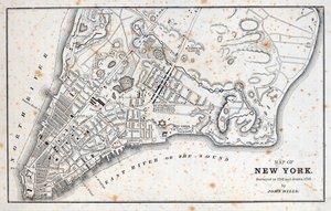 Kart over New York (litho) av American School