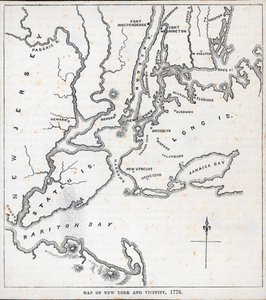 Kart over New York and the Vicinity (litho) av American School