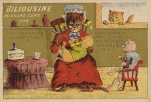 Medisintid for kattene av American School