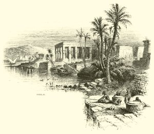 Philae av American School