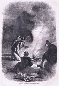 Pilgrim Father