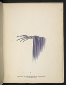 Plate 8. En skjeletthånd.  Spectropia; eller overraskende spektrale illusjoner som viser spøkelser overalt, og av hvilken som helst farge, osv. ser. 1.  J.H. brun  1864 av American School