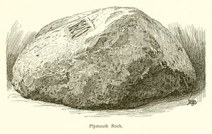 Plymouth Rock av American School
