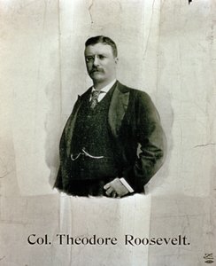 Portrett av oberst Theodore Roosevelt av American School