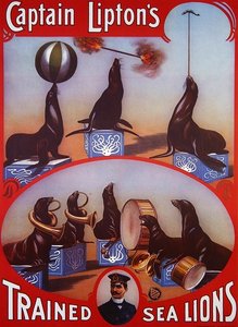Plakatannonsering 