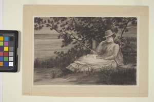Reverie (blekk) av American School