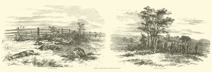 Scener på banen etter slaget, september 1862 av American School